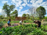 Community Added Value Center