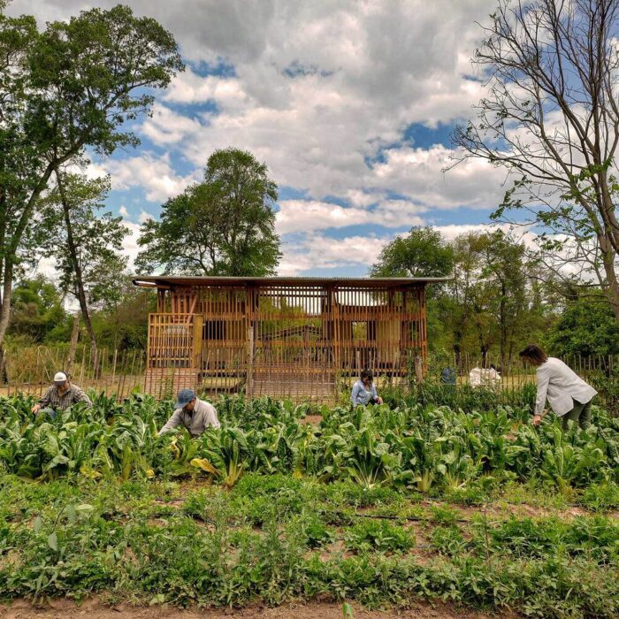 Community Added Value Center