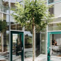 Lyco House