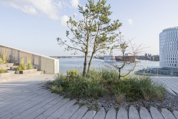 piranesian hq and park big 12