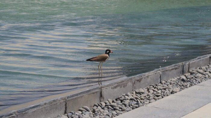 Tata Consultancy Services