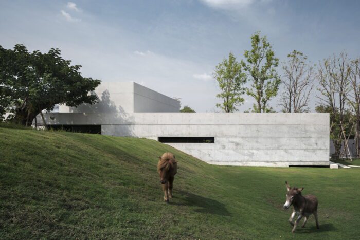 Twisted House Architects 49 House Design 7