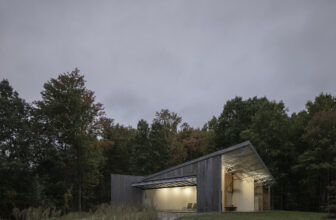 Gray Niva Pool House