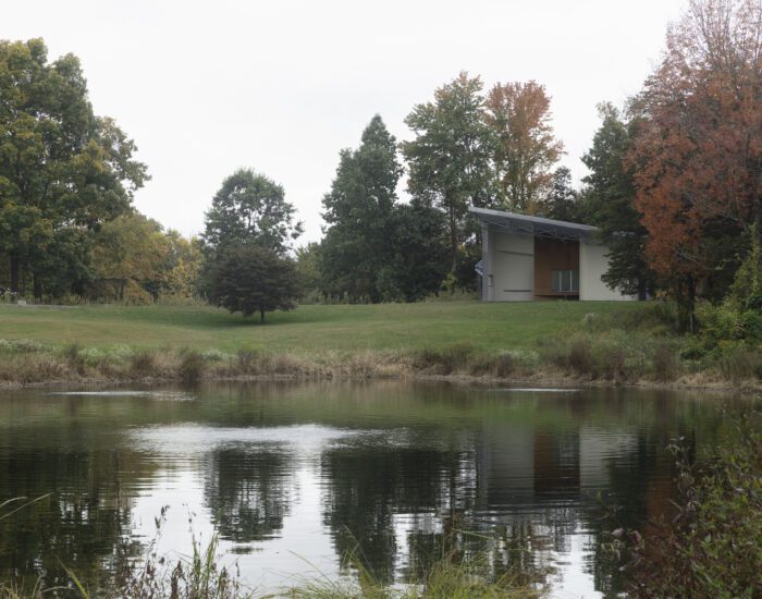 Gray Niva Pool House