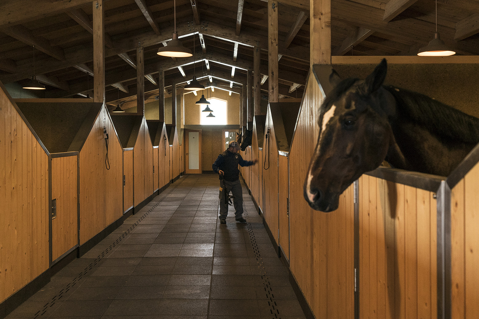 Equestrian Centre