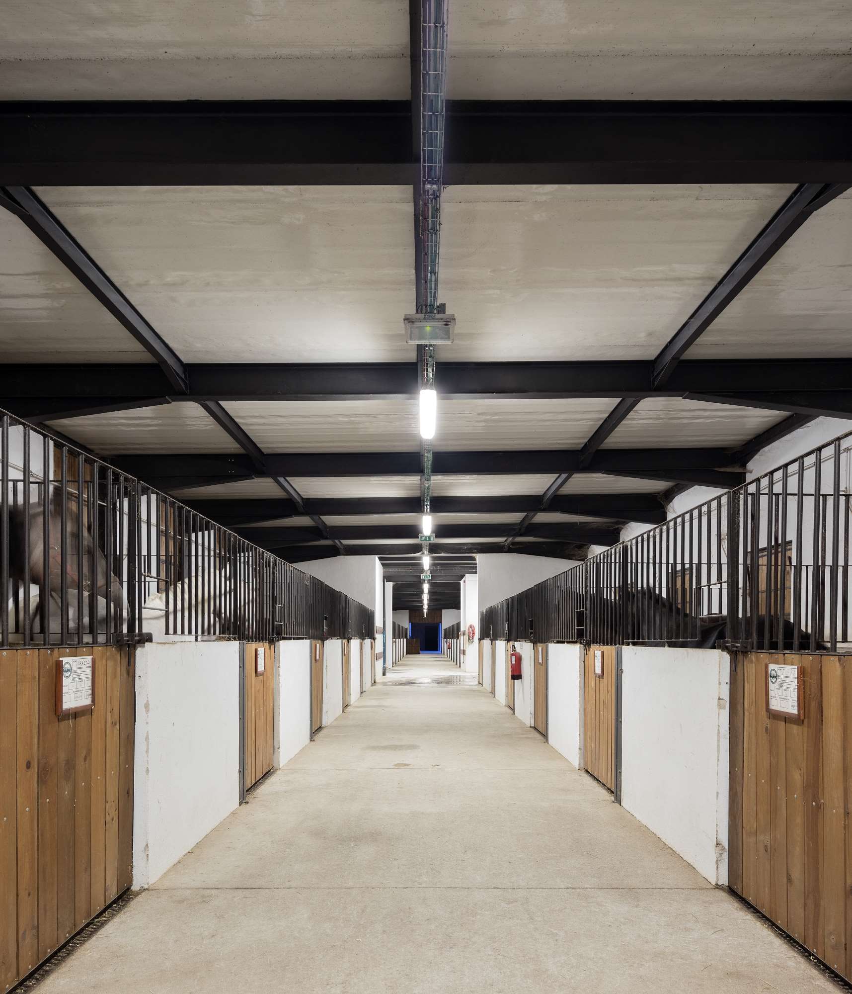 Pedras Salgadas Horse Riding Centre