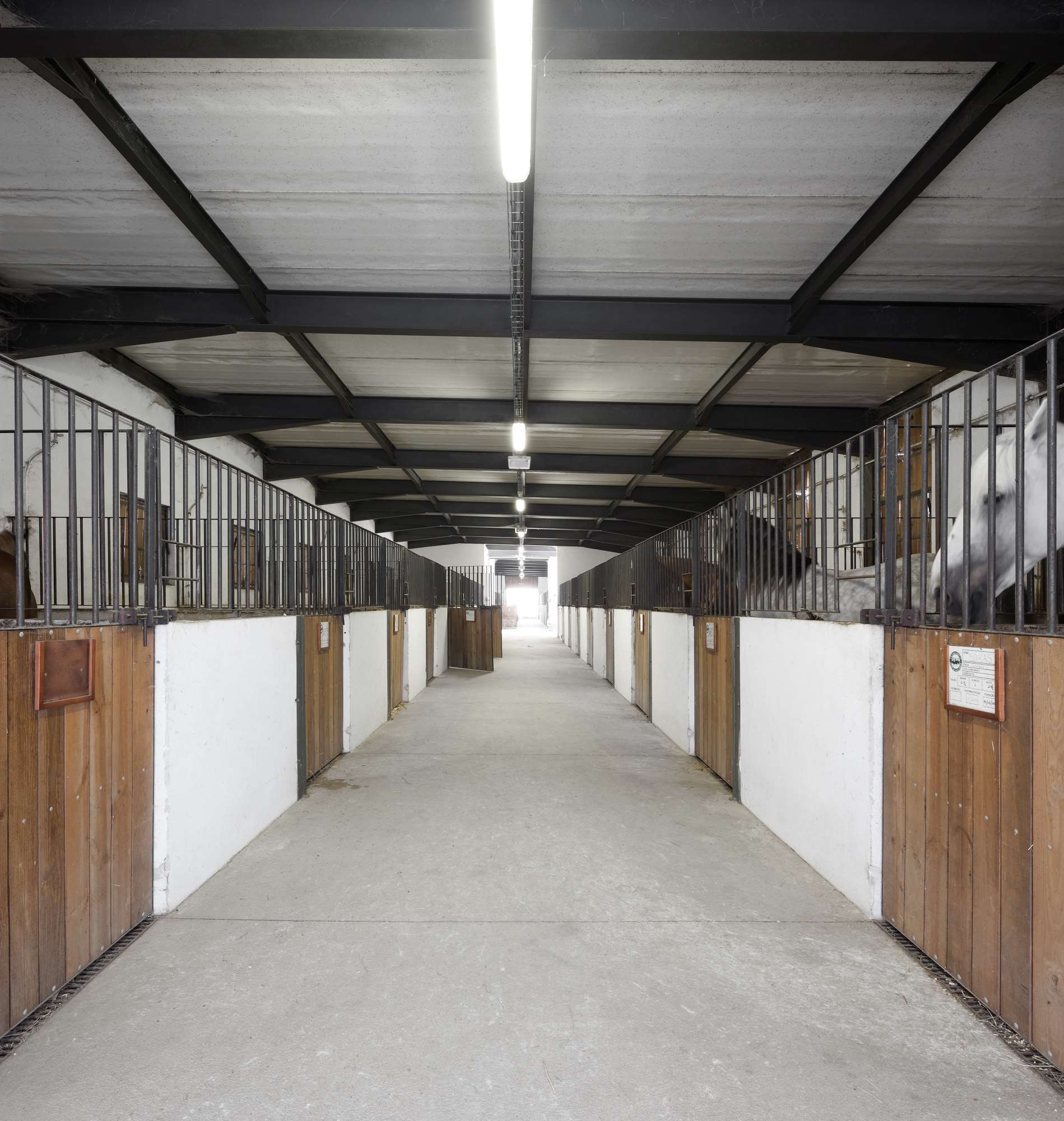 Pedras Salgadas Horse Riding Centre