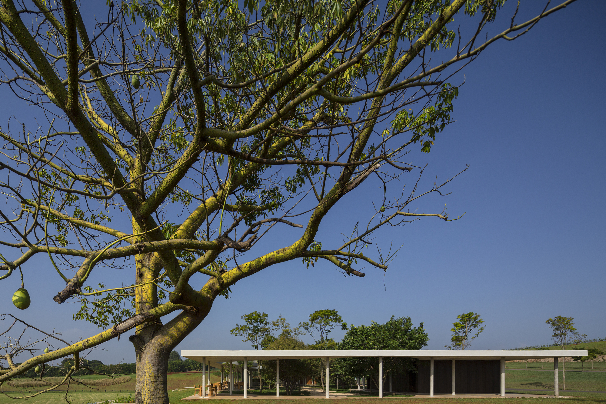 Fazenda Boa Vista – Equestrian Center Clubhouse