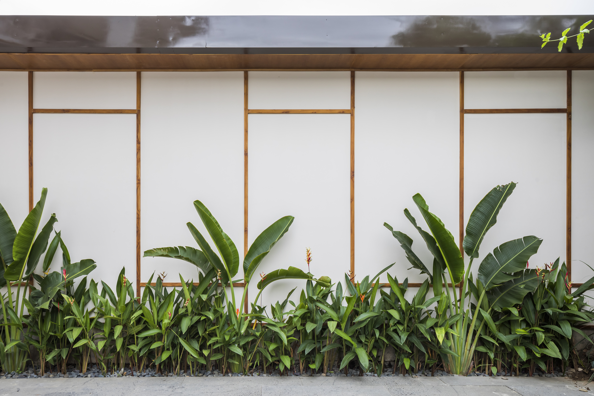 DOJO Saigon