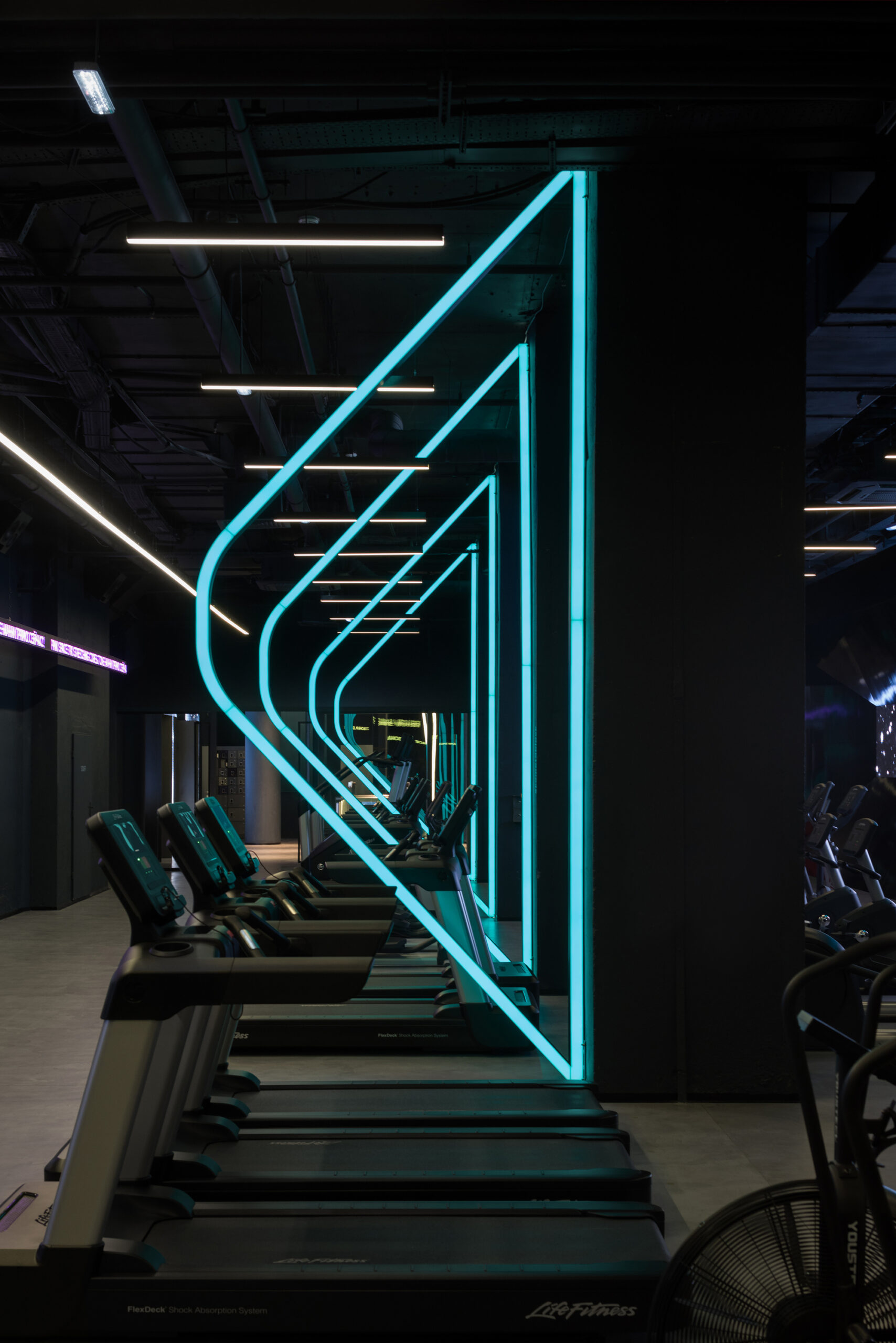 Kometa Black Fitness Club