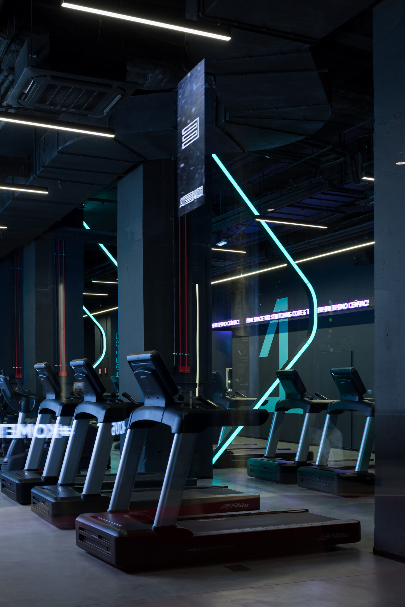 Kometa Black Fitness Club