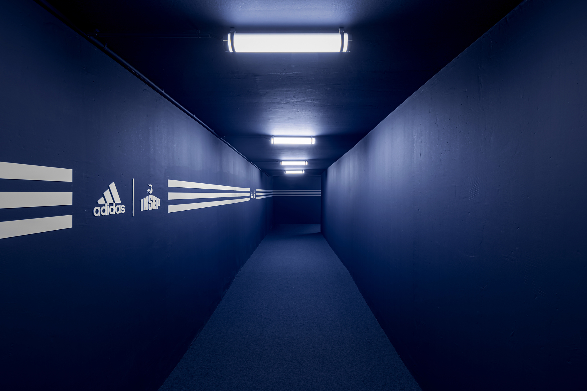 ADIDAS X INSEP Space
