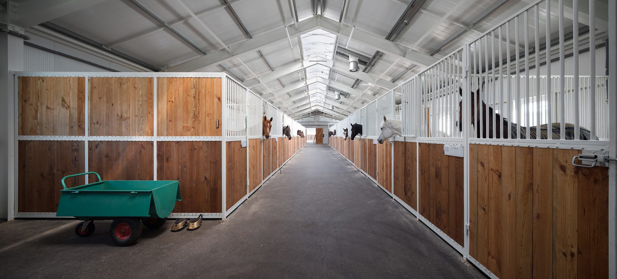 VG Horse Club