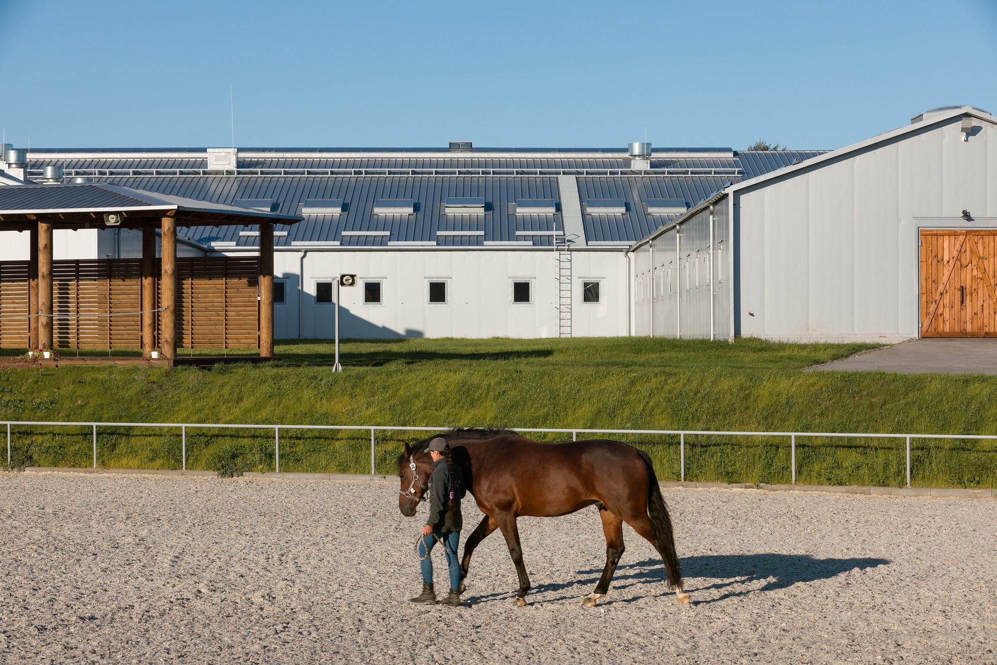 VG Horse Club