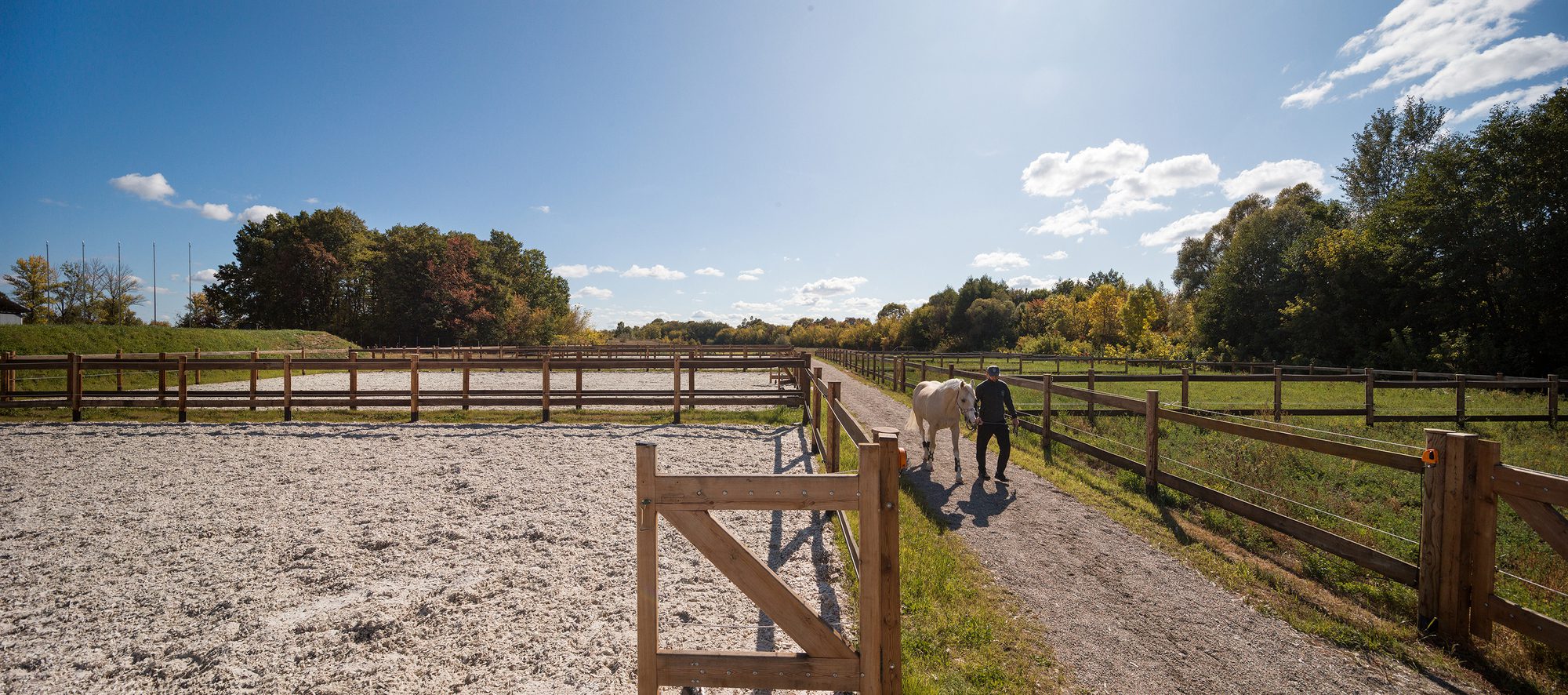 VG Horse Club