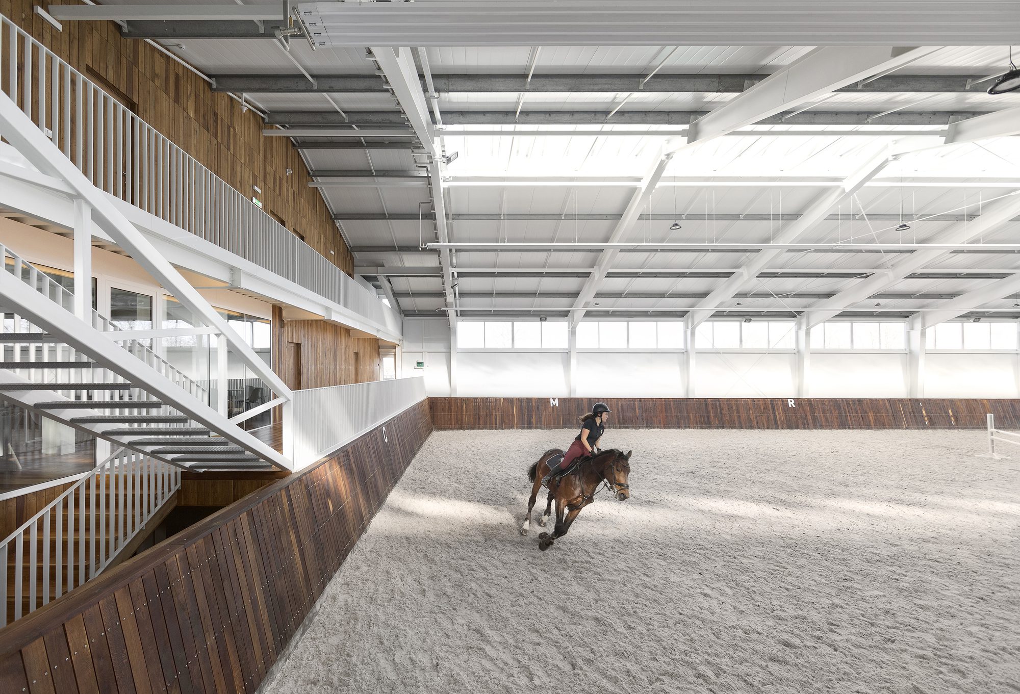 VG Horse Club
