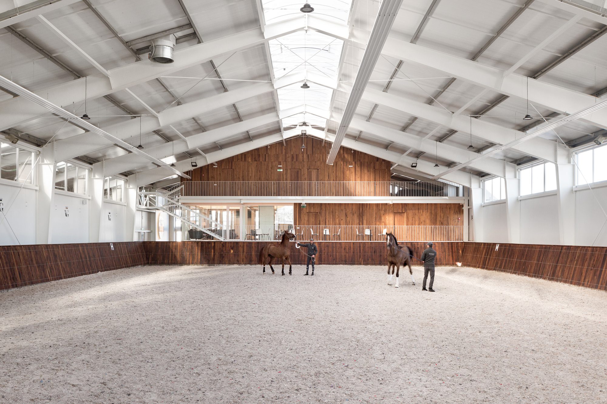 VG Horse Club
