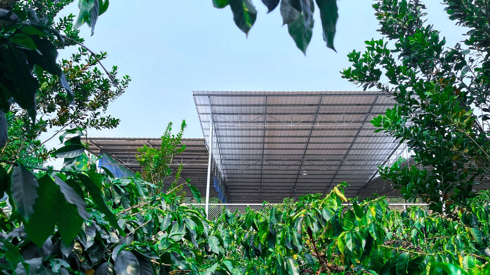 Courtesy of Peoples Architecture Office