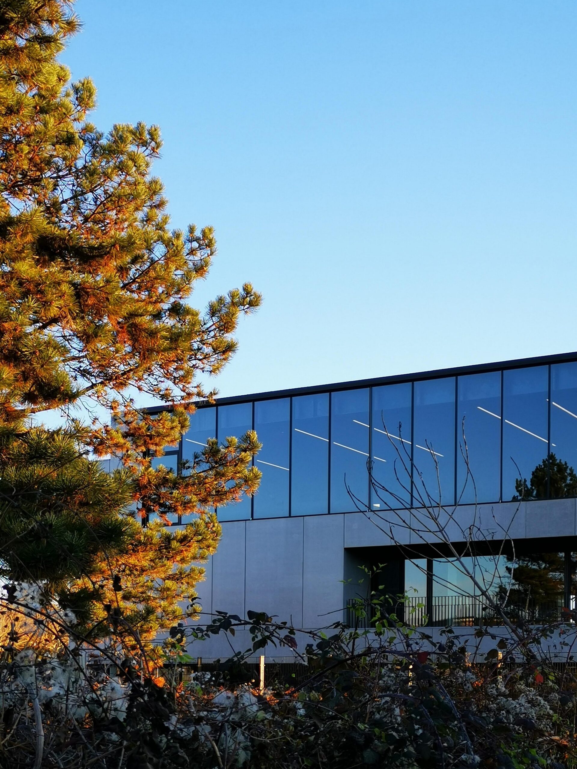 “Im Sand” Gymnasium