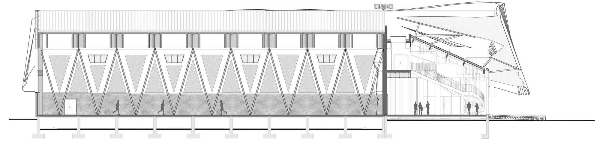 Cross Section