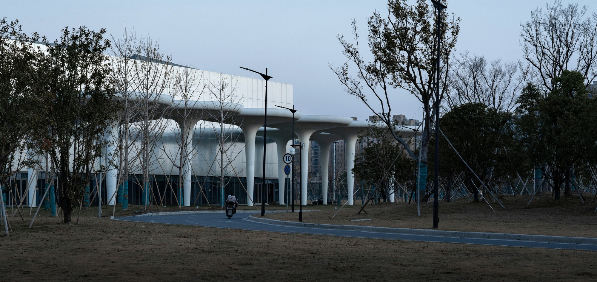 Linping Sports Park Supporting Project