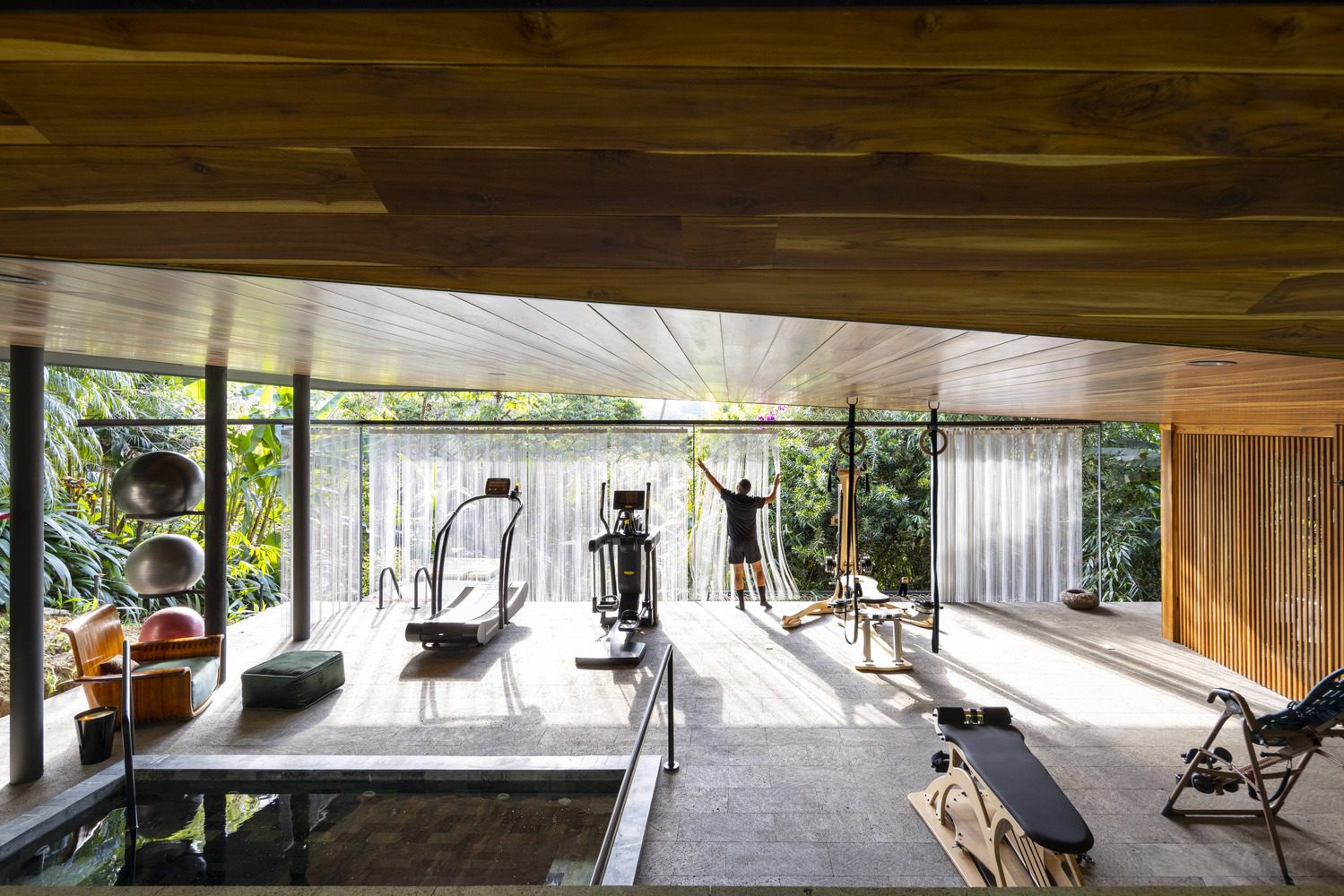 Jungle Gym