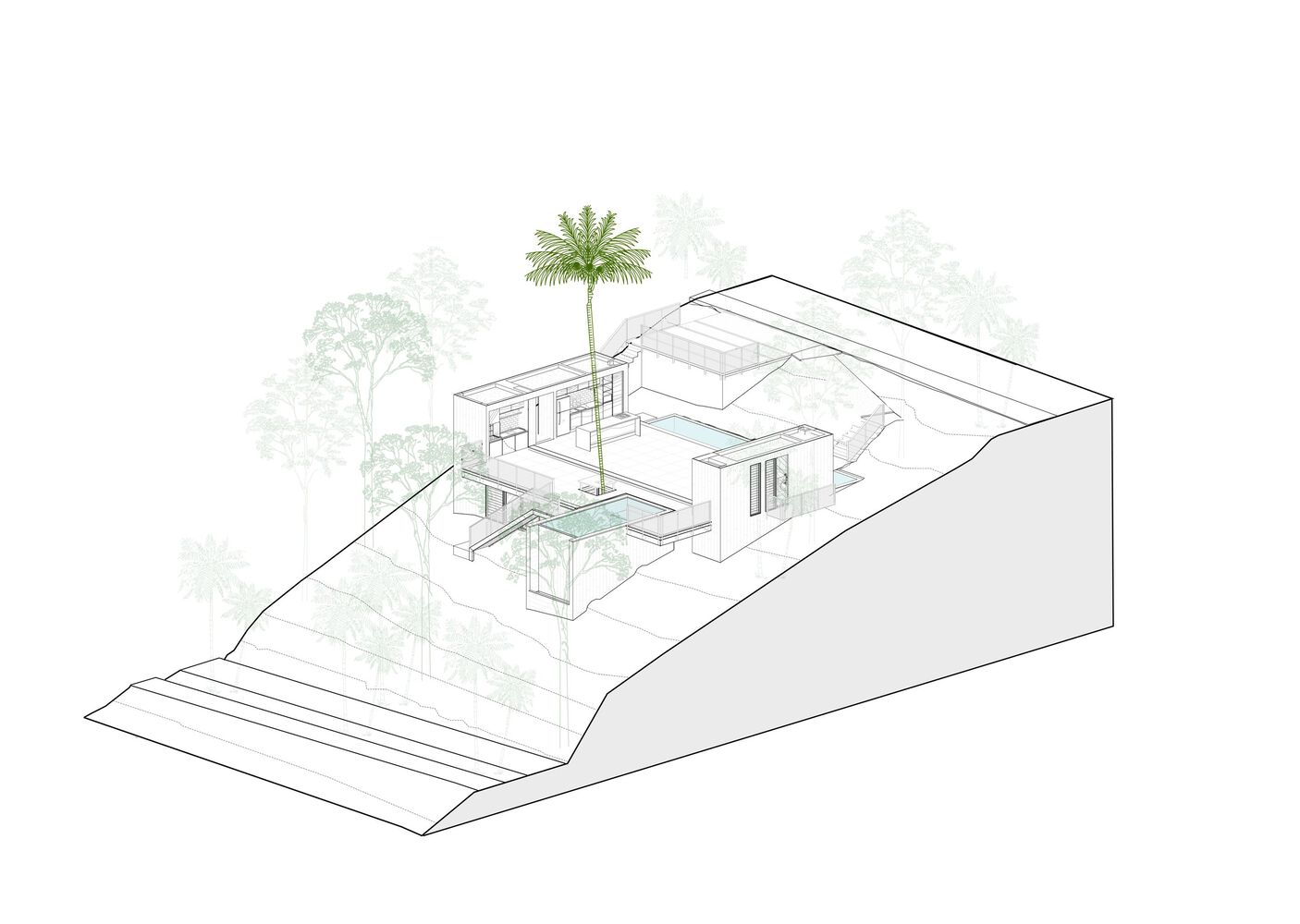 Pupunha House