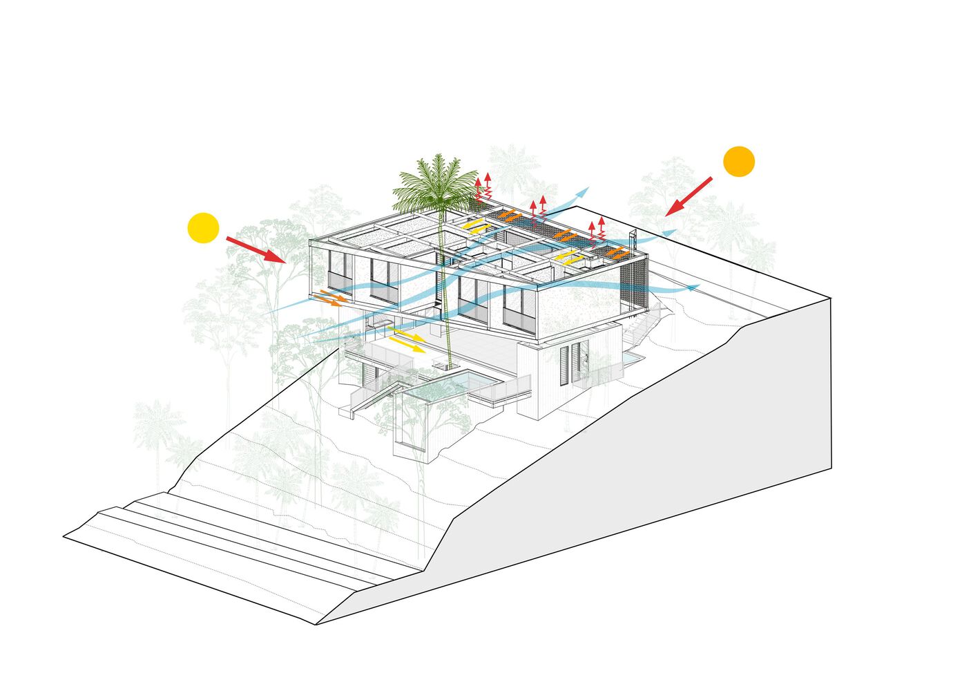 Pupunha House