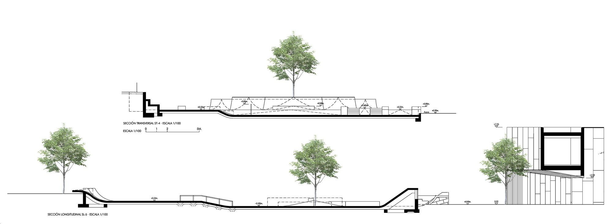 The Skate Park in Carballo
