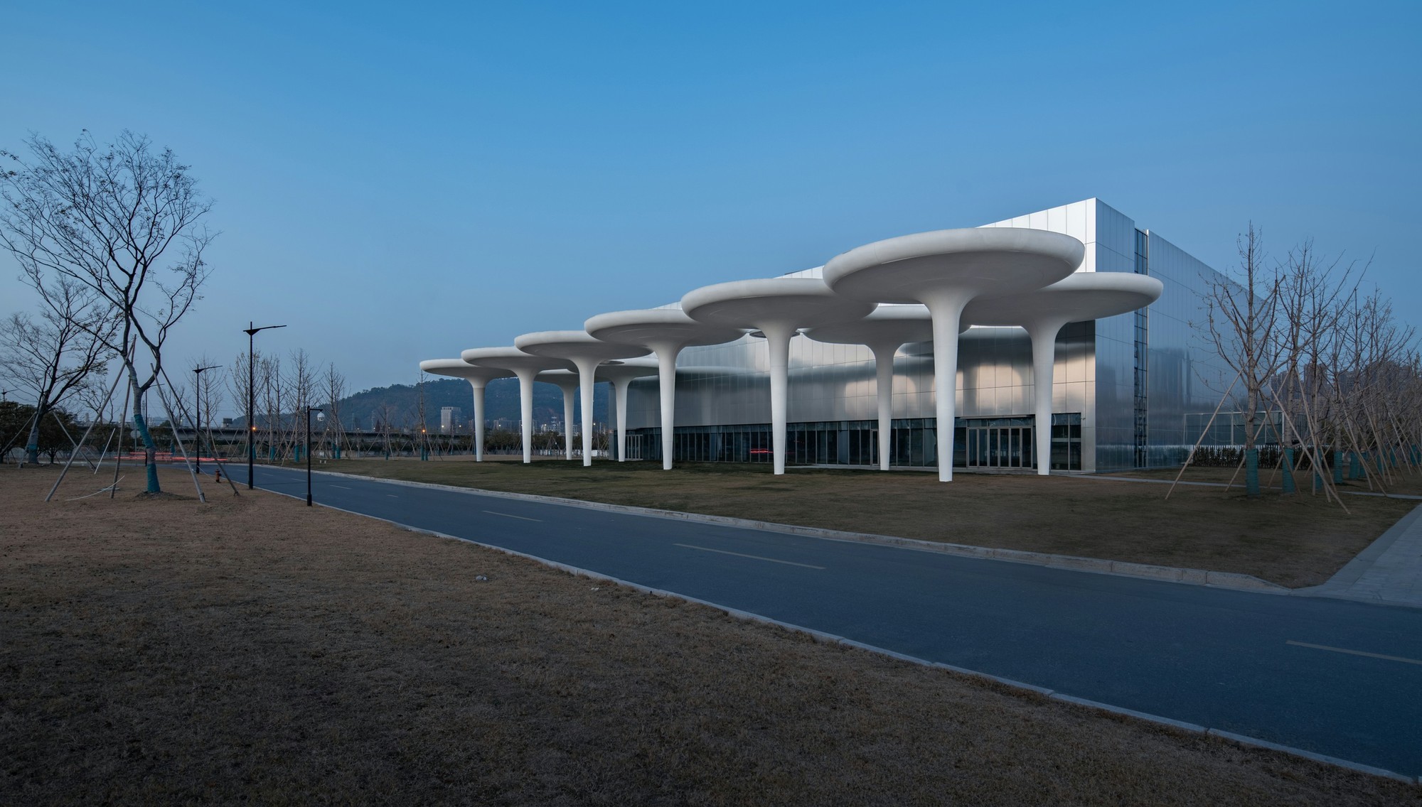 Linping Sports Park Supporting Project