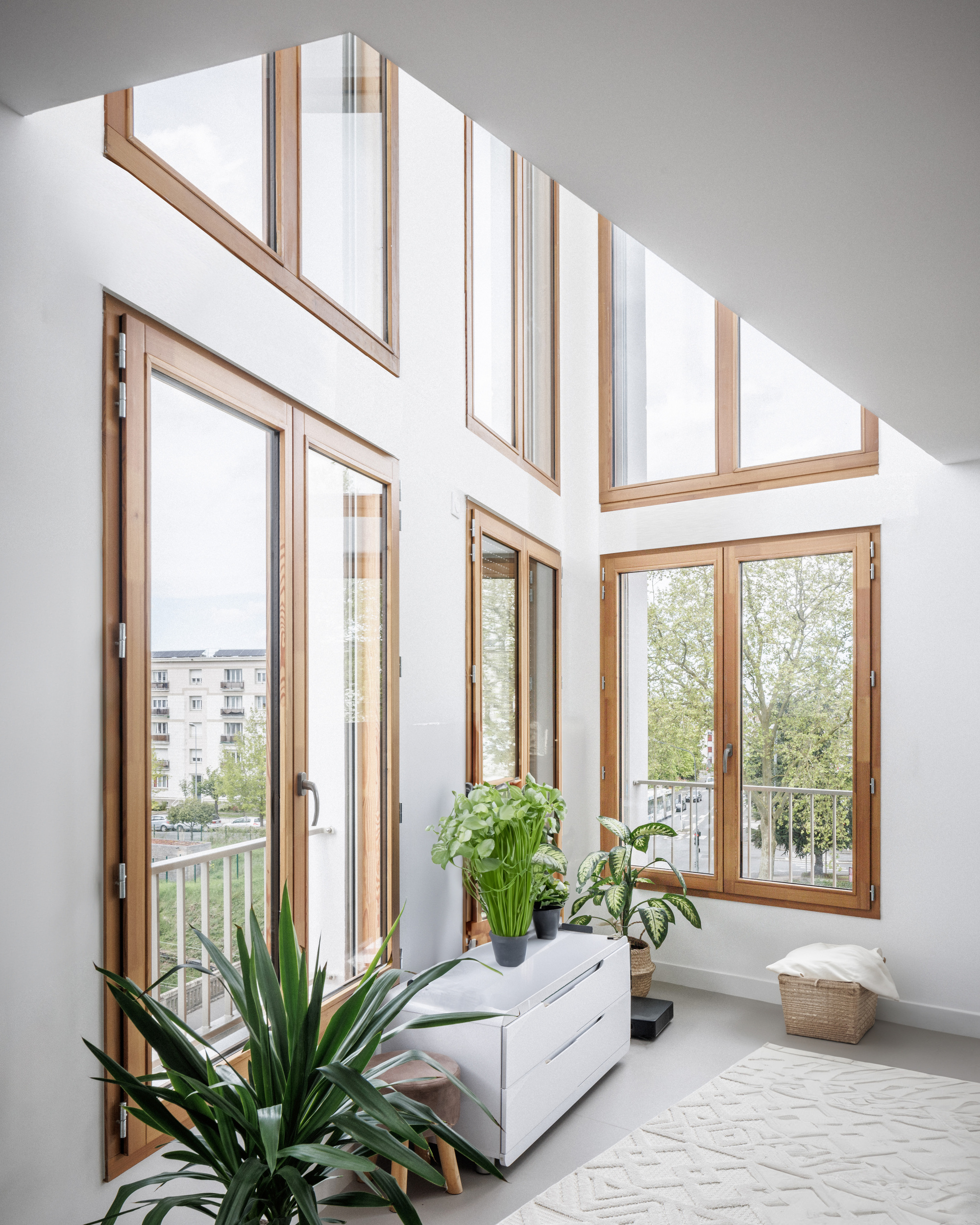50 Apartments and Office at Coligny