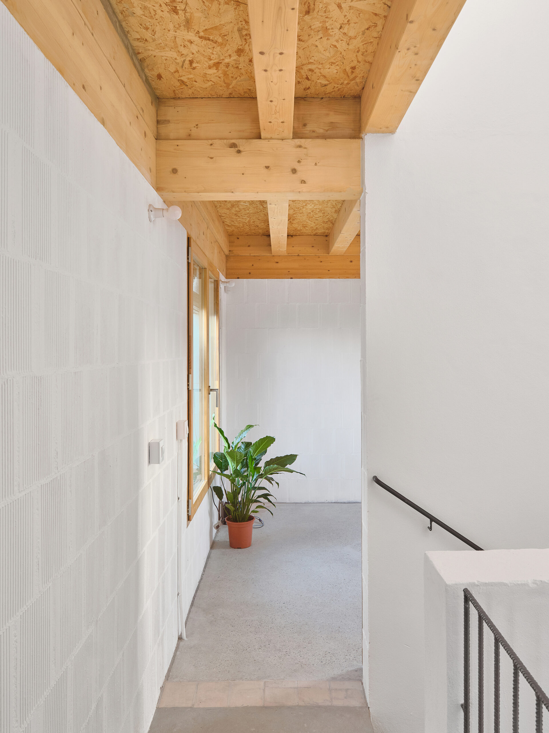 11 Social Houses in Palma