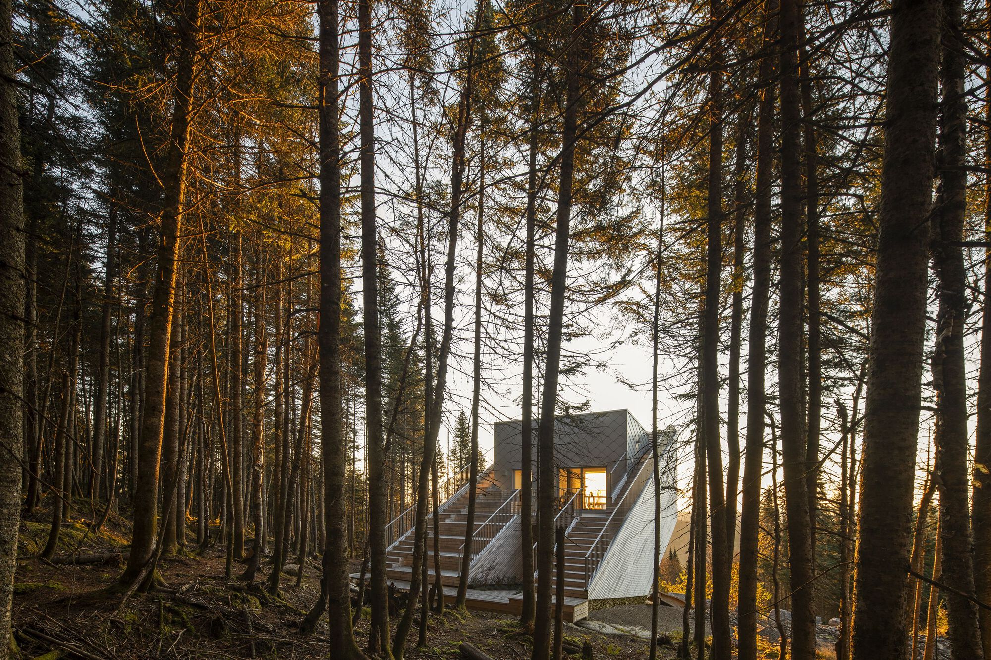Peace Residence