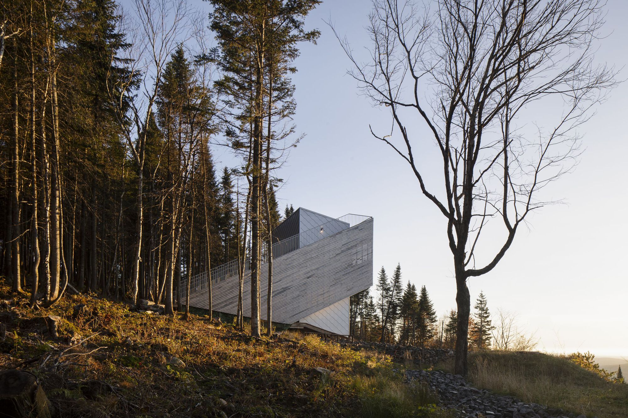 Peace Residence