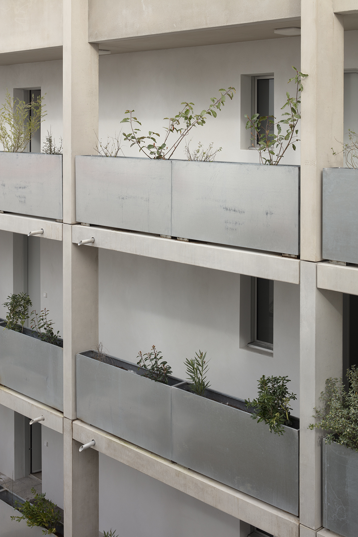 Inouï Collective Housing