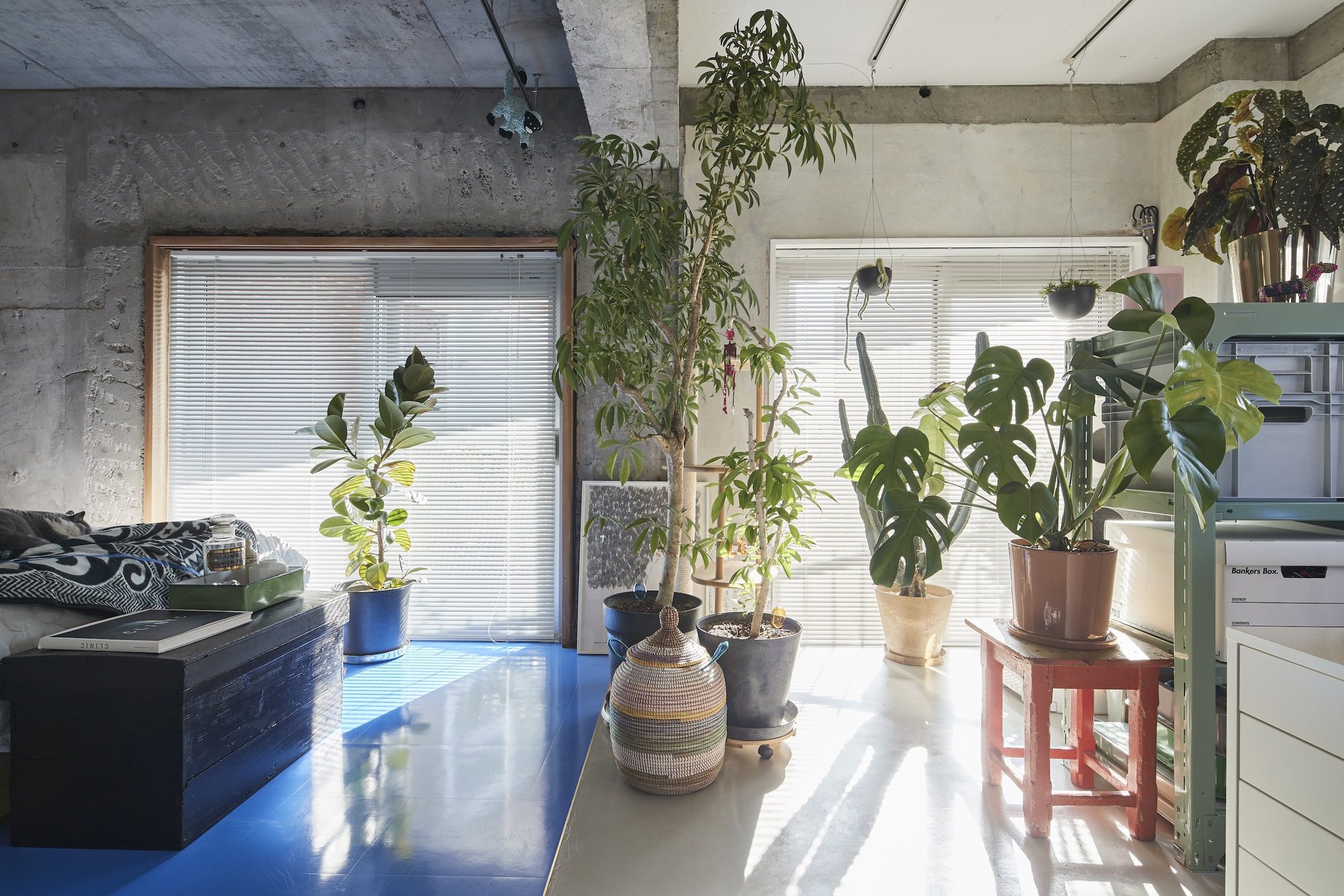 Tokyo Blue Apartment Renovation