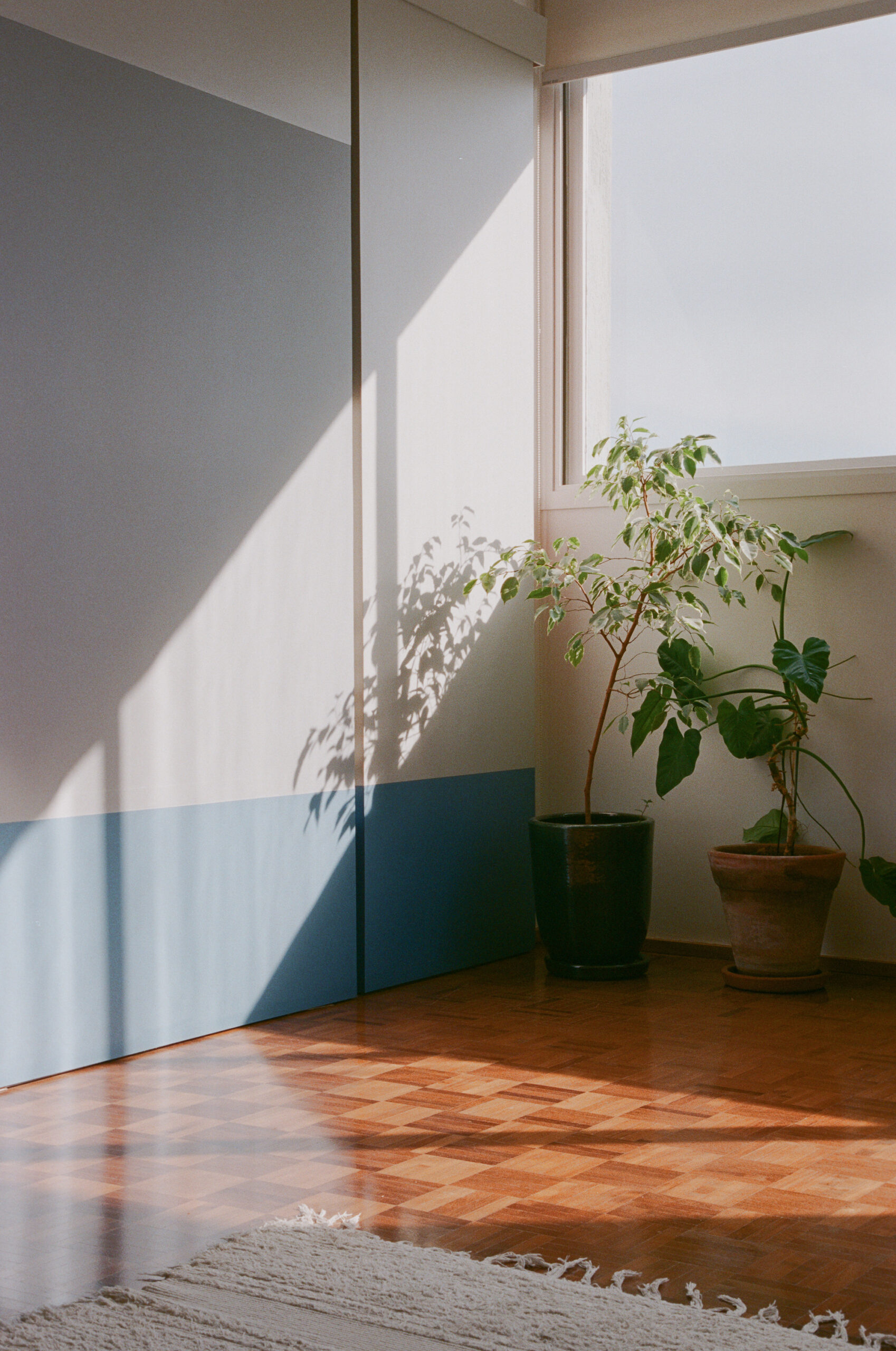 Sumarezinho Apartment
