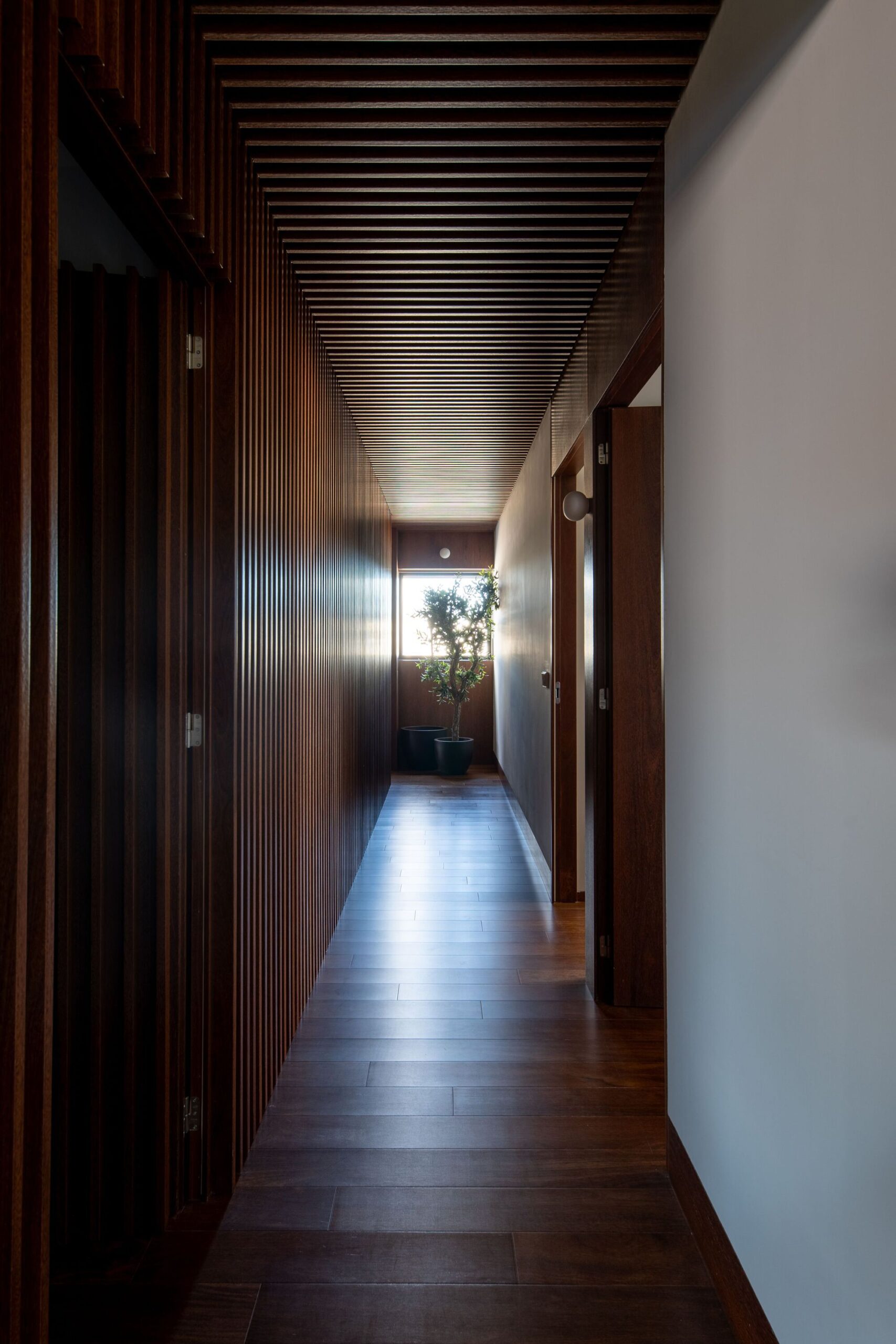 Jardim Velho Apartment