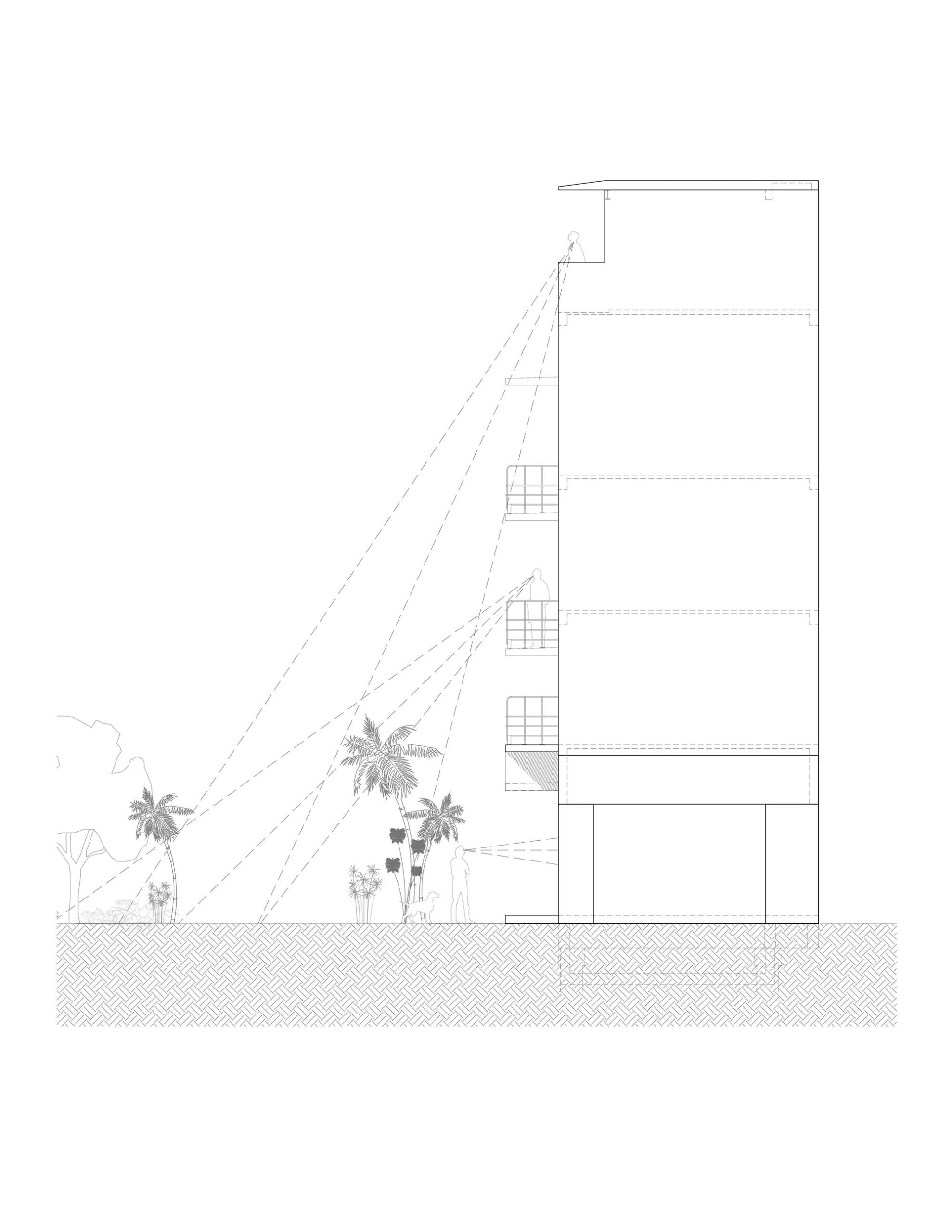 Edificio Domus Peepem 8.1