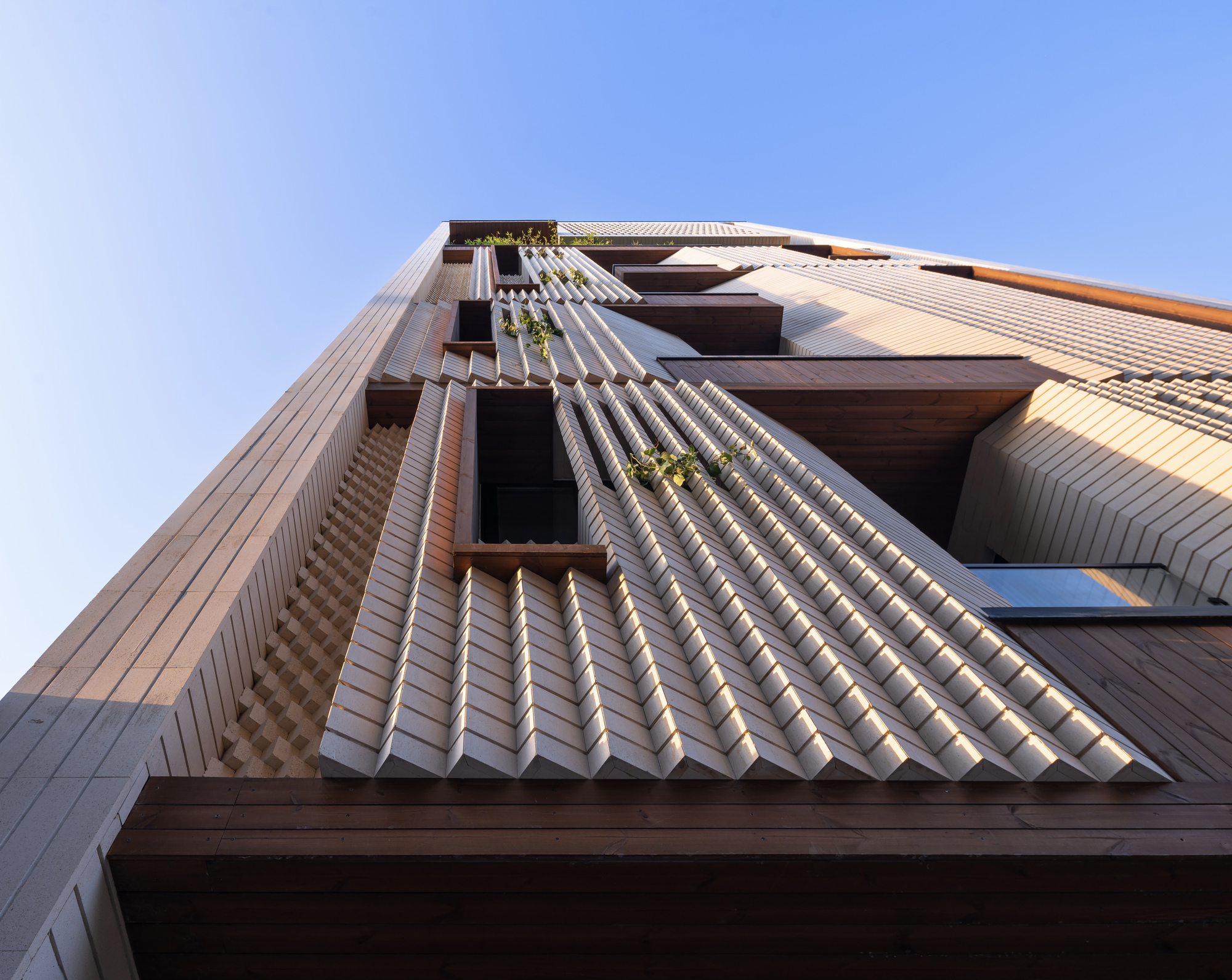 Grapevine Residences