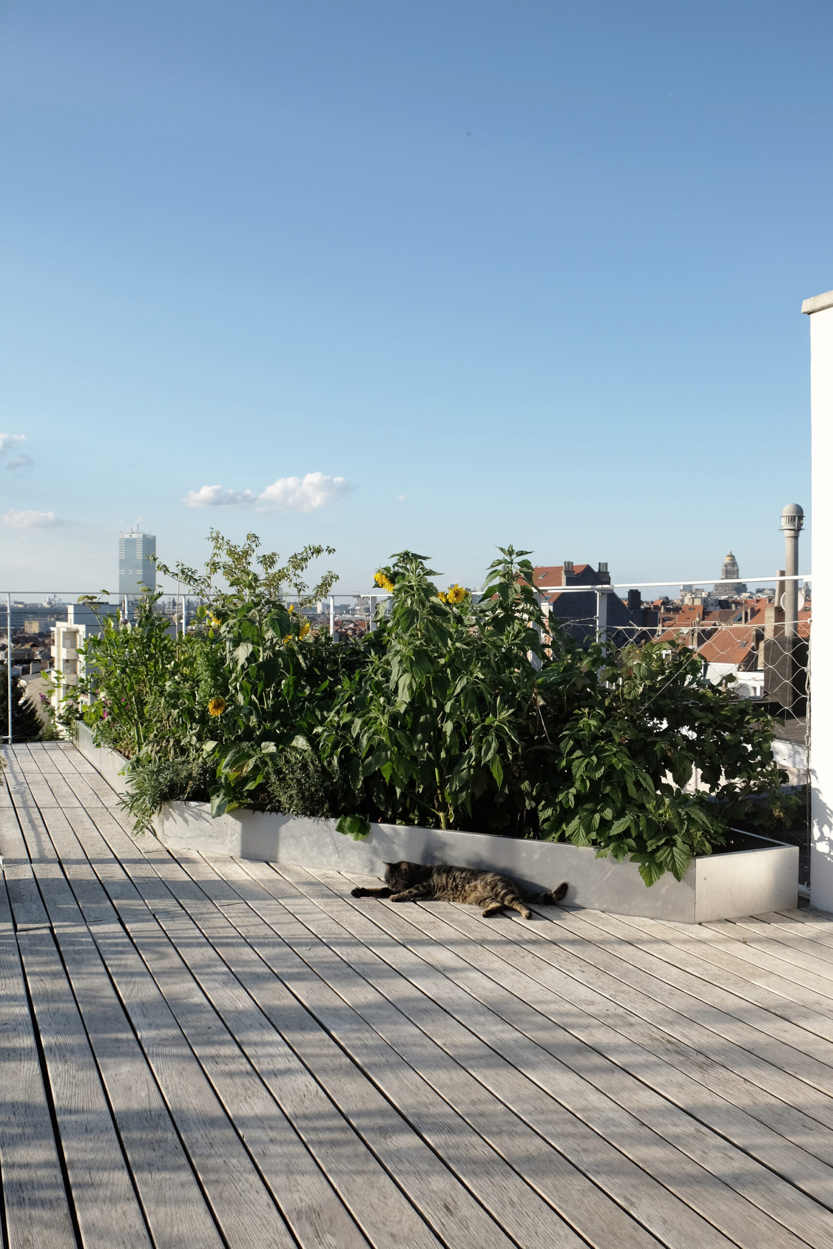 JEDA Apartment