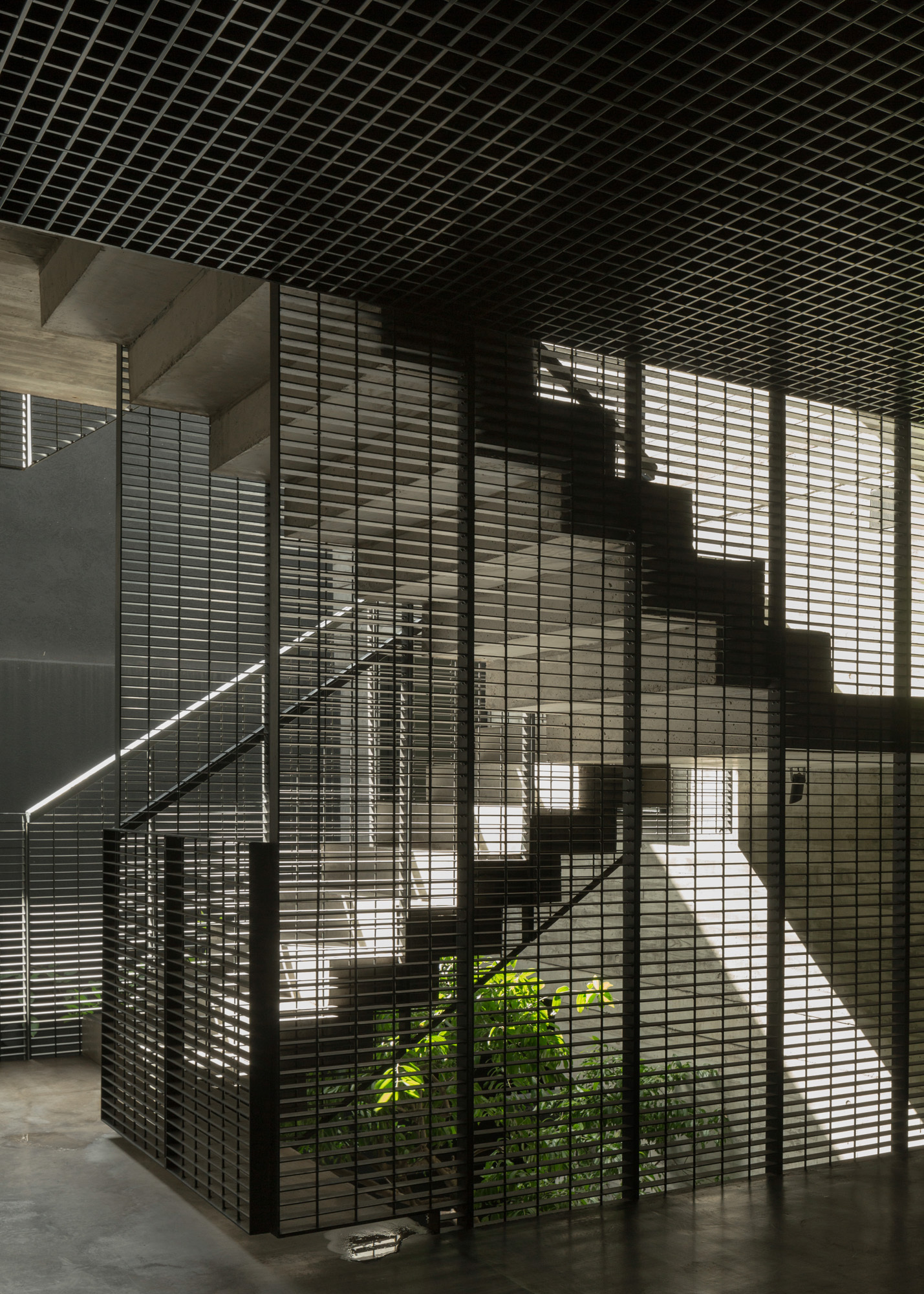 Newbery Urban Homes