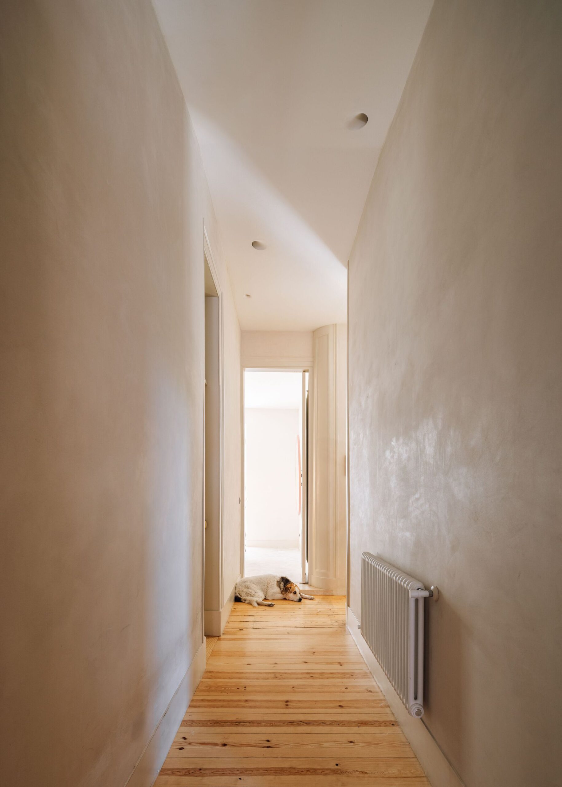 Palmeira Apartament