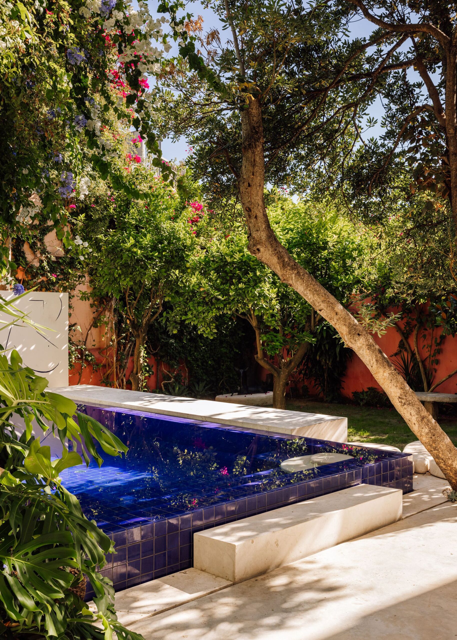 Palmeira Apartament