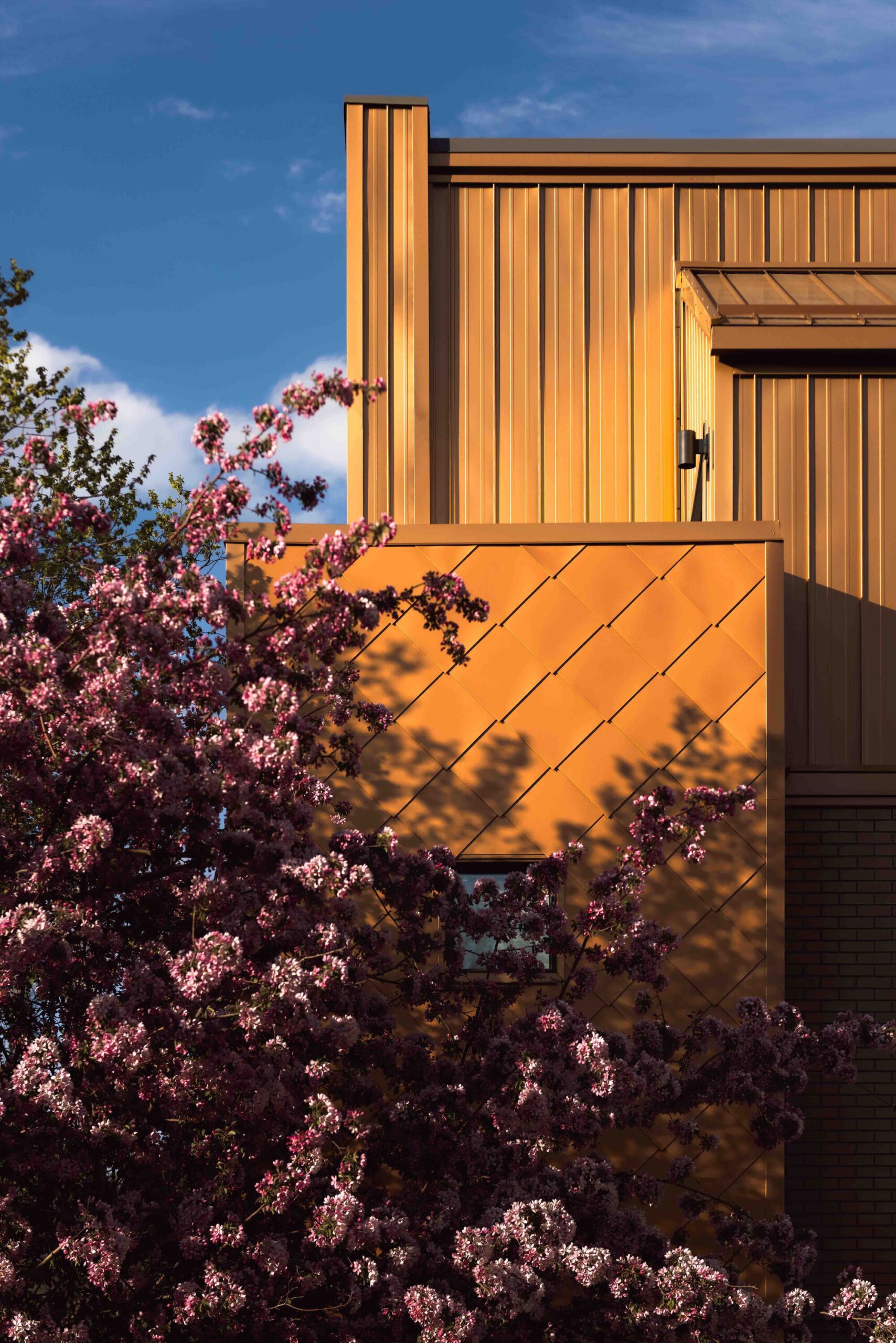 Carisbrooke Residence