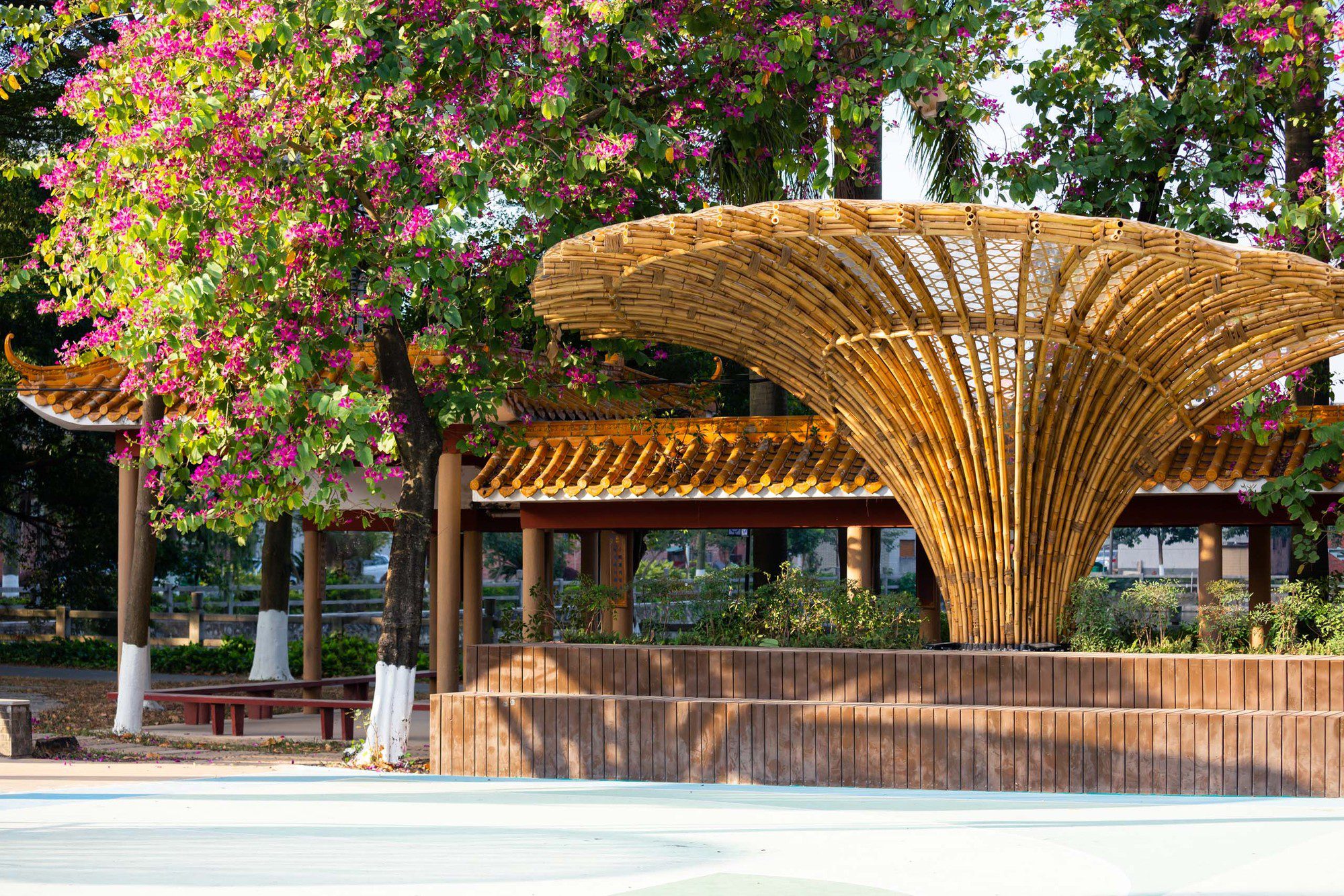 Changqi Stadium Bamboo Corridor