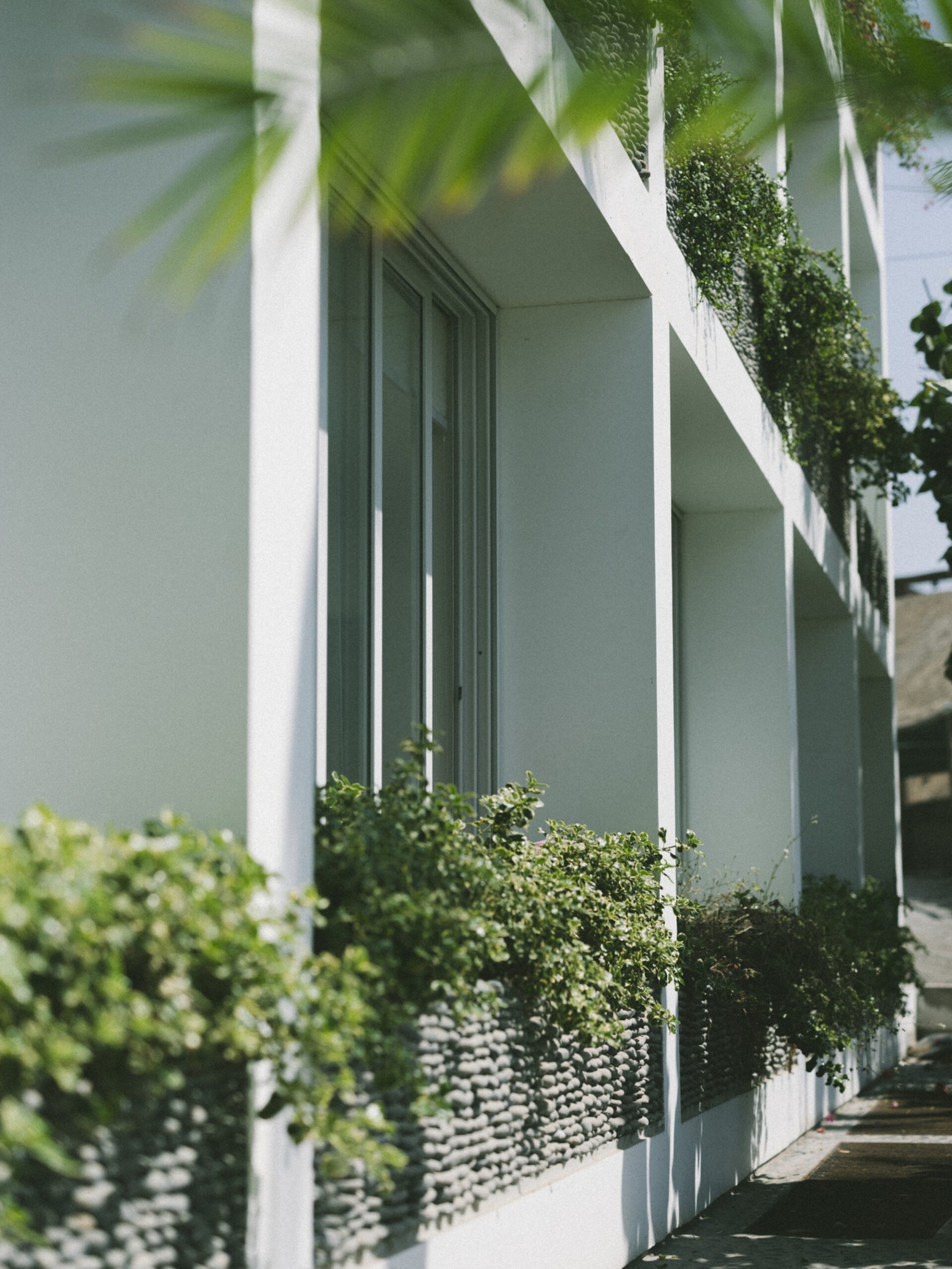 Abeja Building