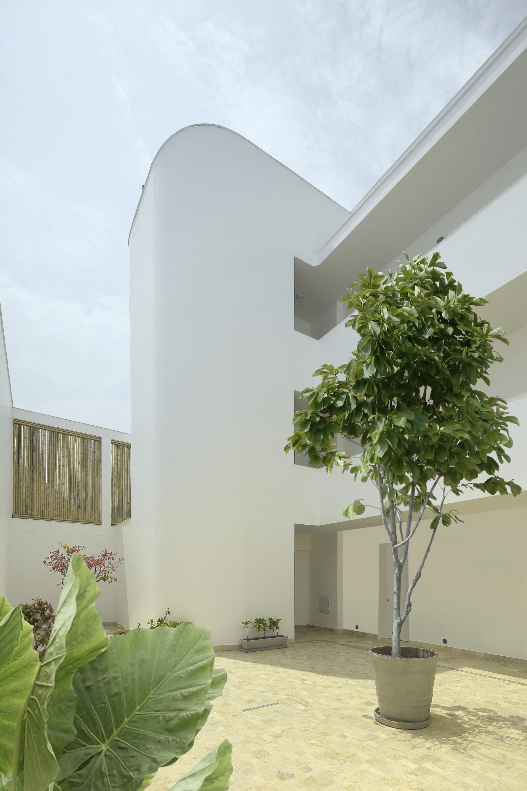 Abeja Building