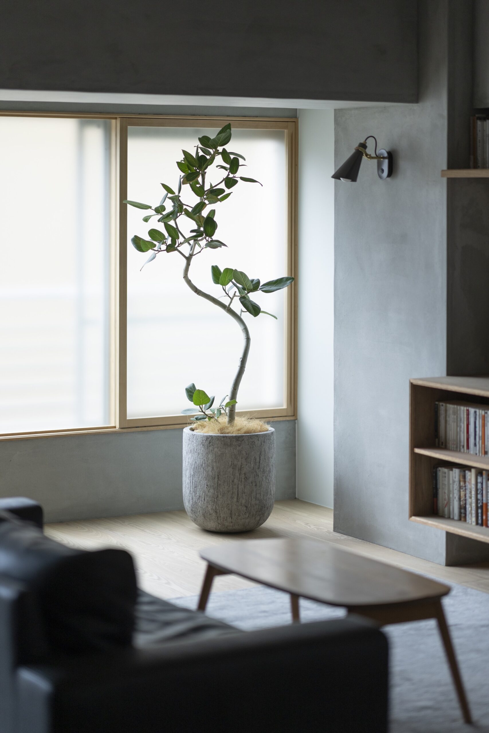 House in Demachiyanagi area 02