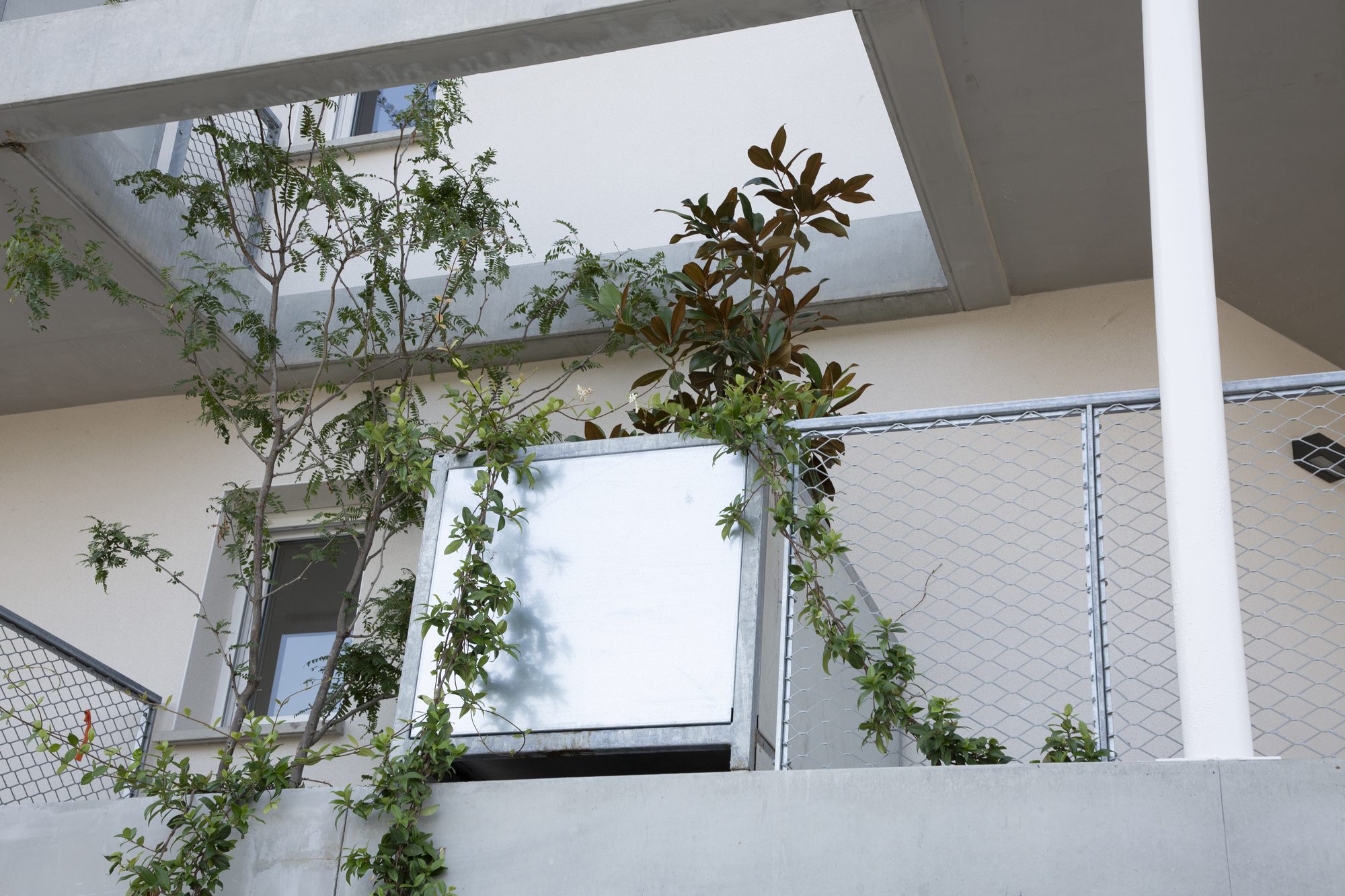 Toulouse ZAC Saint-Martin Residential Complex